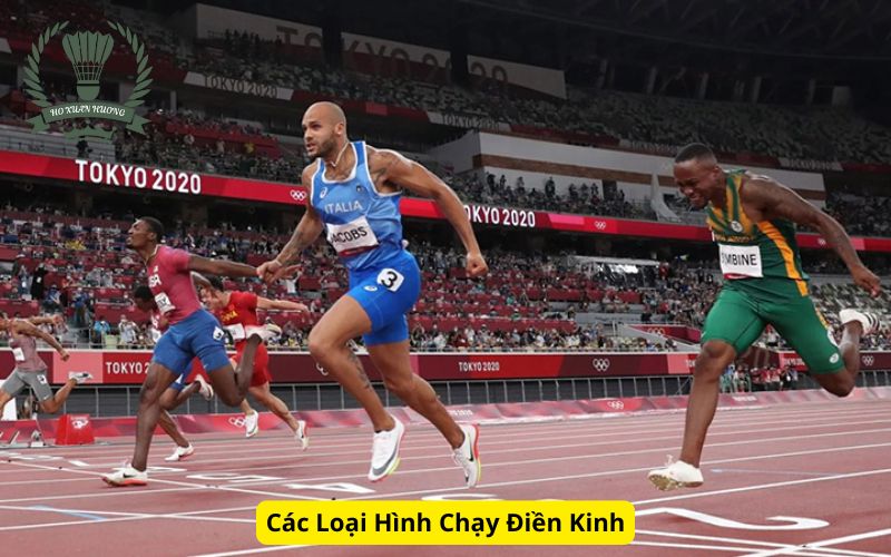 Các Loại Hình Chạy Điền Kinh