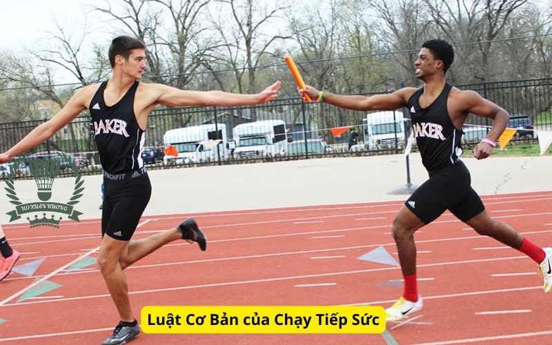 Luật Cơ Bản của Chạy Tiếp Sức