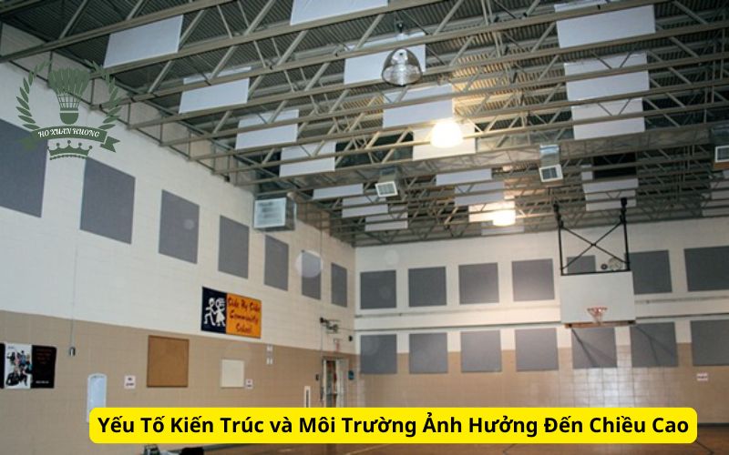 Yếu Tố Kiến Trúc và Môi Trường Ảnh Hưởng Đến Chiều Cao