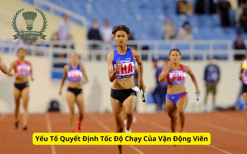 Yếu Tố Quyết Định Tốc Độ Chạy Của Vận Động Viên