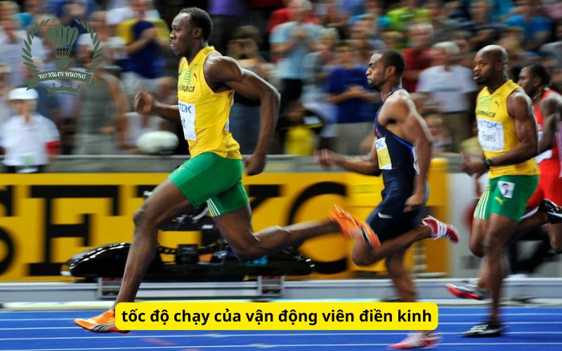 tốc độ chạy của vận động viên điền kinh