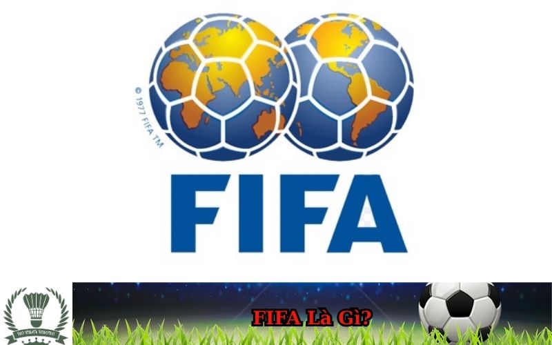 FIFA Là Gì