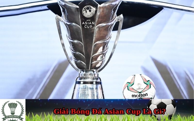 Giải Bóng Đá Asian Cup Là Gì