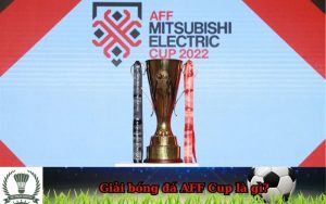 Giải bóng đá AFF Cup là gì