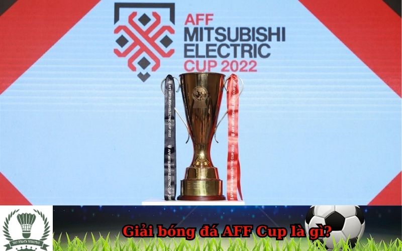 Giải bóng đá AFF Cup là gì
