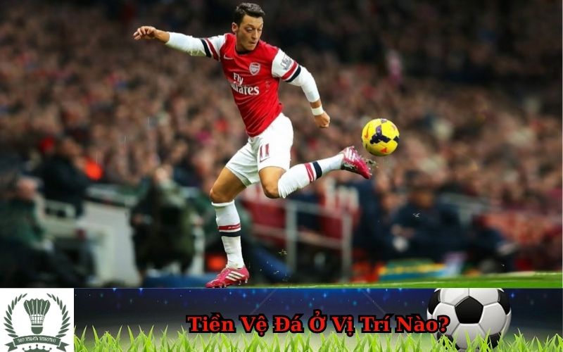Tiền Vệ Đá Ở Vị Trí Nào