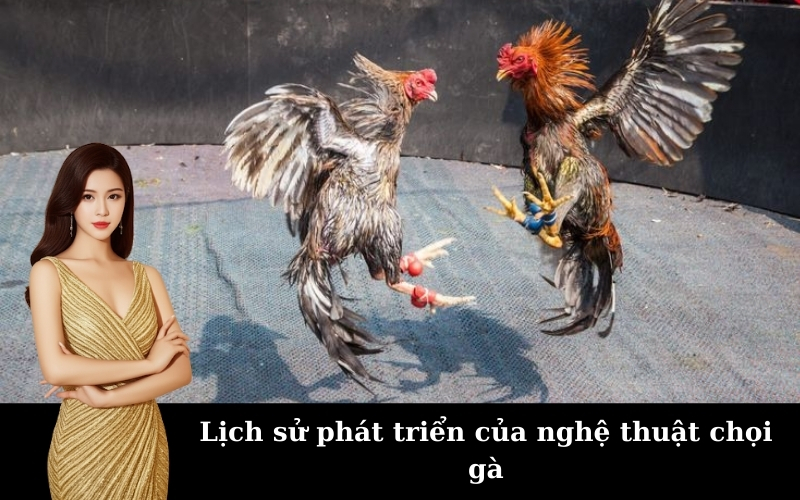 Lịch sử phát triển của nghệ thuật chọi gà