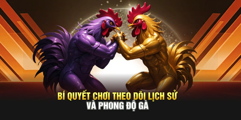 Bí quyết chơi theo dõi lịch sử và phong độ gà