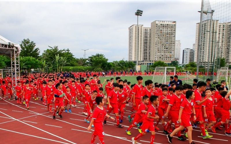 Hấp thụ năng lượng tự nhiên từ môi trường ngoài trời
