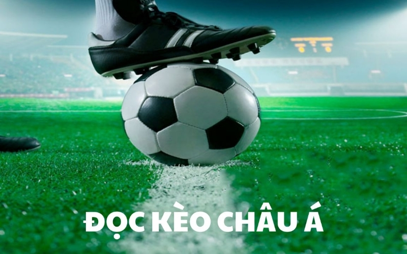 Tại sao kèo Châu Á lại phổ biến nhất trong cá cược